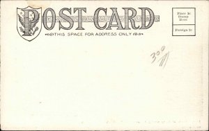 Sioux Falls South Dakota SD View of Falls Mill 1900s-20s Vintage Postcard