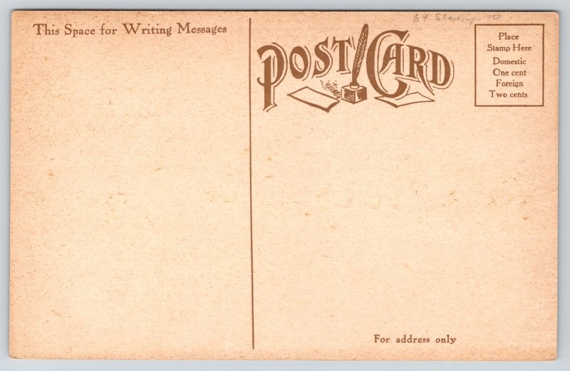 Grand Rapids Michigan~Scenic View John Ball Park~Swan~Reflections~Vintage PC