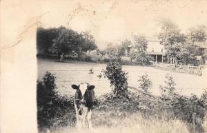 Martinsville West Virginia Farm House and Cow Real Photo Postcard JE229768