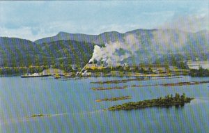 Canada Columbia Forest Products Crofton Pulp & Paper Mill British Columbia