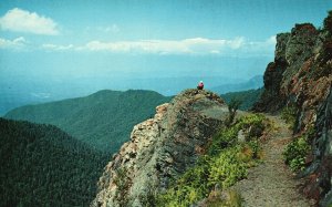 Vintage Postcard Charlie's Bunion Great Smoky Mountain National Park Rockies 
