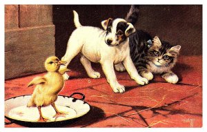 Dog  ,Cat, Duck