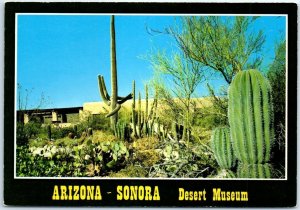 Postcard - Arizona-Sonora Desert Museum - Tucson, Arizona