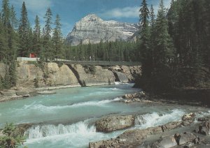 MOUNT STEPHEN & NATURAL BRIDGE, YOHO NATIONAL PARK, Canada - Vintage POSTCARD