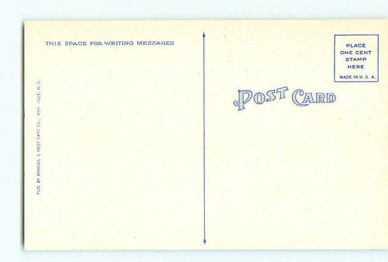 Vintage Postcard  Funny Humor Fish Fisherman Write Home About it   # 1791