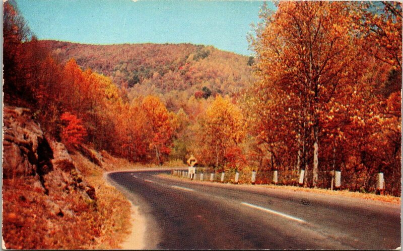 Skyline Dr US 211 Sperryville VA Virginia Fall Autumn Scene Postcard VTG UNP  