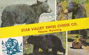 Wyoming Thayne Star Valley Swiss Cheese Company With BEars