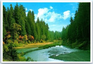 Postcard - The Eel River - California