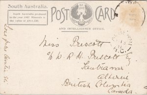 Salt Mounds South Australia State Tourist Bureau c1911 Postcard E64