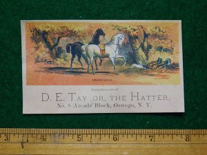 1870s-80s D E Taylor the Hatter Brown & White Horses Victorian Trade Card F23