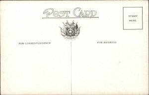 Houston Texas TX Rice Hotel Ball Room c1910 Vintage Postcard