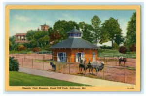 Camels Park Mansion Druid Hill Park Baltimore Maryland Vintage Antique Postcard 