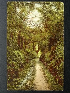 Channel Island GUERNSEY Moulin Huet WATER LANE - Old Postcard by Photochrom