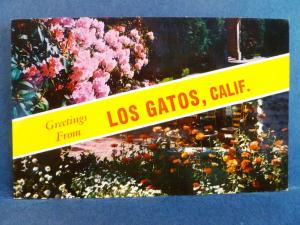 Postcard CA Los Gatos Greetings From Los Gatos