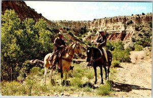 Postcard ANIMAL SCENE Amarillo Texas TX AK9250