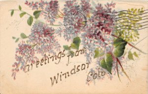 J15/ Windsor Colorado Postcard c1910 Greetings from Windsor Colorado 63