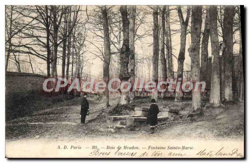 Postcard Old Wood Meudon Fountain Sainte Marie