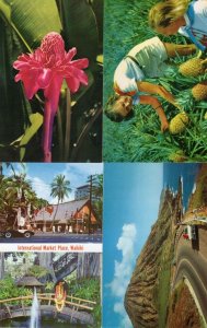 Koko CraterHawaii Waikiki Market Torch Ginger Pineapple 4x Postcard s