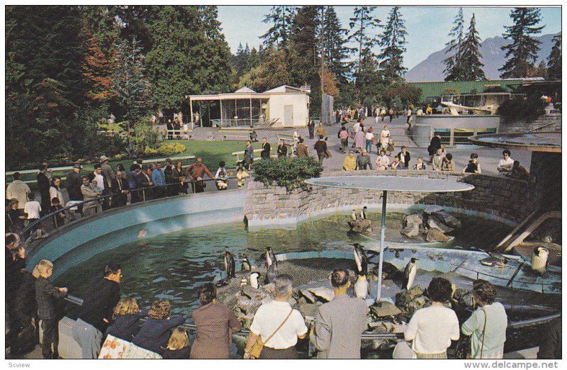 Penguin Area Attractions,  Stanley Park,  Vancouver,  B.C.,  Canada,  40-60s