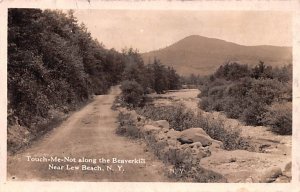 Touch-me-not Lew Beach Fishing New York Postcard