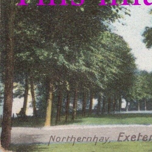 Devon Postcard - Exeter, Northernhay. Frith. Unused  RS39434