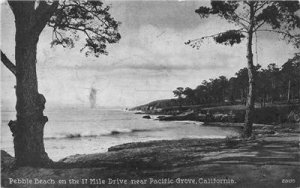 PEBBLE BEACH 17 Mile Drive near Pacific Grove, CA 1937 Vintage Postcard