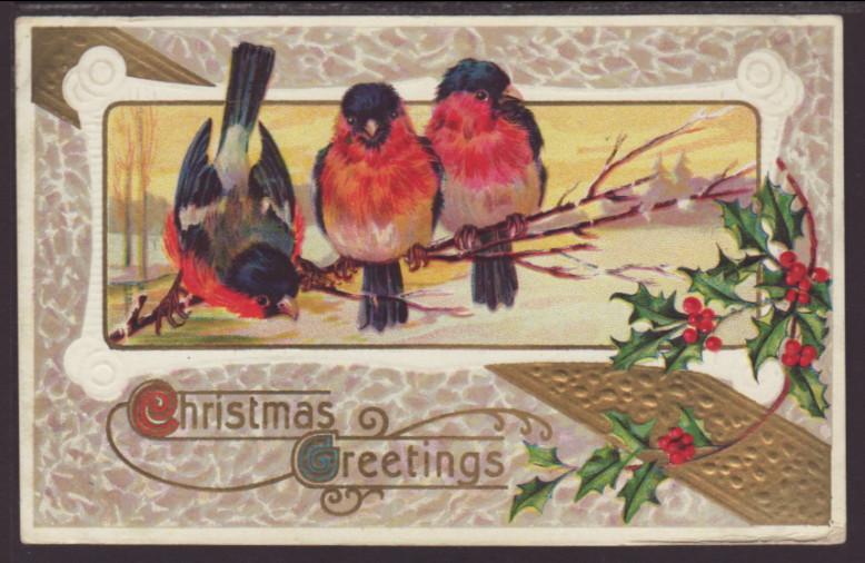 A Joyous Christmas,Birds,Holly Postcard
