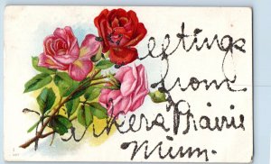 Parkers Prairie Minnesota Postcard Greetings Roses Flowers Glitter Embossed 1910