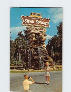 Postcard Beautiful Rustic Fountain Entrance to Silver Springs Florida USA