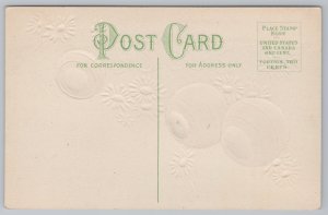 Greetings~As Time Rolls On~Clocks & Various Daisy Flowers~Embossed~Vintage PC