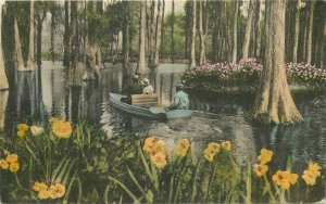 Charleston South Carolina Cypress Gardens hand  Albertype Postcard 21-4935