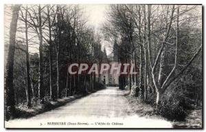 Old Postcard Bressuire (Deux Sevres) The Allee du Chateau