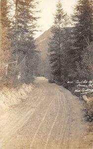 US5895 coal elk real photo bc canada