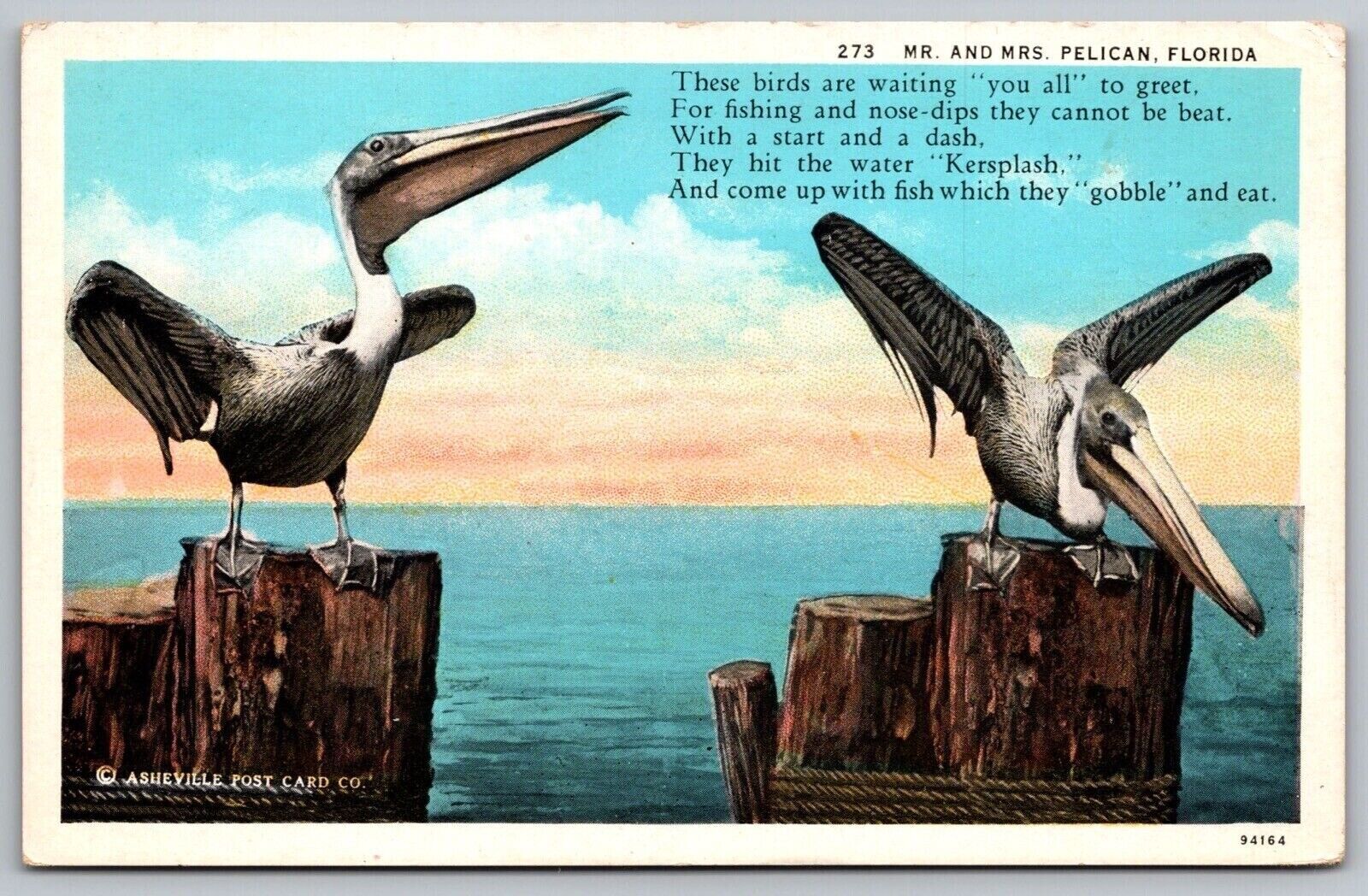 Mr Mrs Pelican Florida Poem Birds Animals Ocean Pier Coast Shore VNG ...