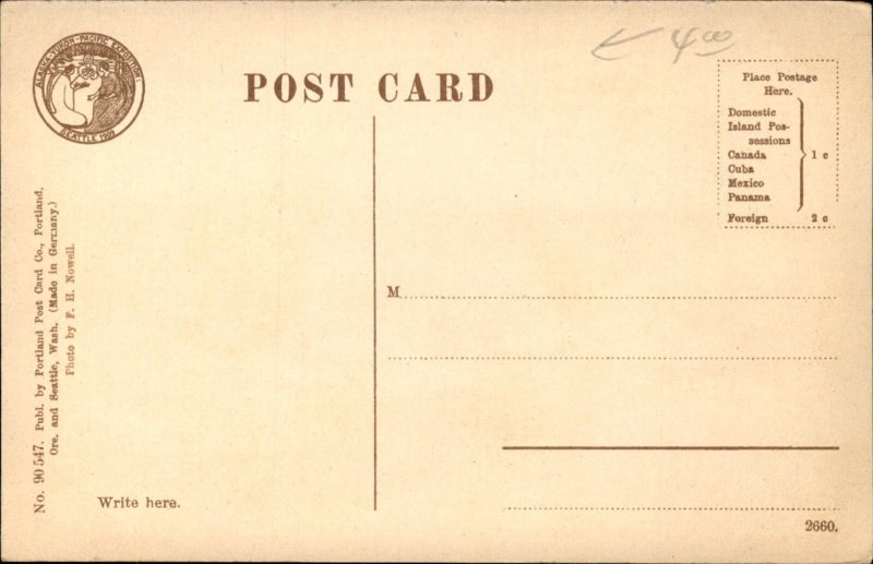 White Horse Yukon Steamships 1900s-20s Vintage Postcard