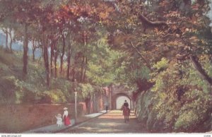 Tunnel Road, REIGATE, England, 1900-10s; TUCK 7307