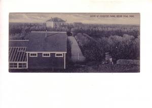 Forestry Farm, Indian Head, Saskatchewan, Narrow 6 X 2 3/4 Shape