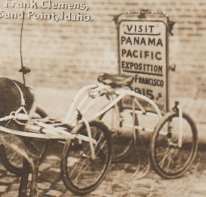 Kansas City RPPC 1911 CROSS-COUNTRY TRAVELER Deer Team LONG DISTANCE PPIE EXPO