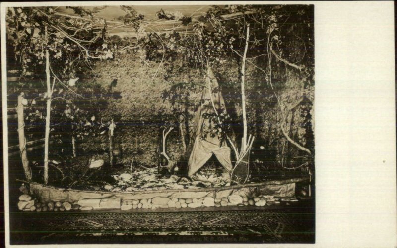 Native American Indian Curios Calednoia MN (On Back) Real Photo Postcard c1910