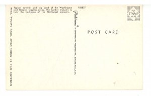 OR/WA - Typical Sawmill & Log Pond