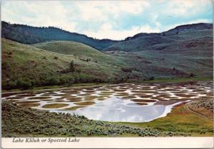 Lake Kliluk or Spotted Lake BC Richter Pass Mineral Water Postcard D35 *As Is