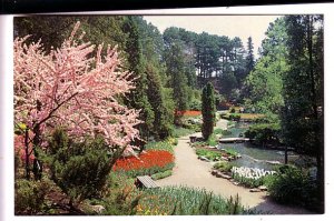 Spring in Rock Garden, Royal Botanical Gardens, Hamilton, Ontario