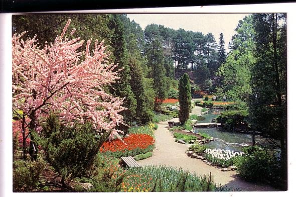 Spring in Rock Garden, Royal Botanical Gardens, Hamilton, Ontario