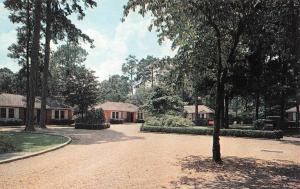 THOMASVILLE, GA Georgia   WOODLAND IN THE PINES   Roadside 1968 Chrome Postcard