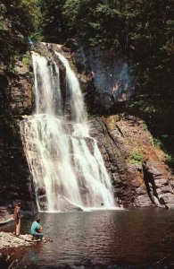 Vintage Postcard Pocono Mountains Bushkill Falls The Niagara of Pennsylvania PA