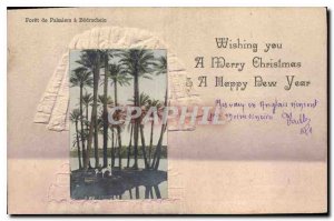 Old Postcard Egypt Egypt Palms Foret Bedrachein