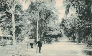 DAYTONA FL RIDGEWOOD AVENUE 1912 UNDIVIDED ANTIQUE POSTCARD