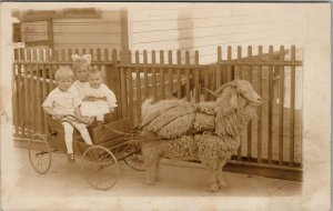 RPPC Children in Small Cart Pulled by Beautiful Sheep on Sidewalk Postcard V20