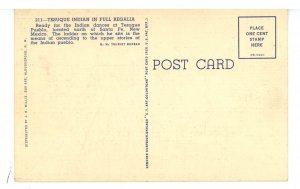 NM - Tesuque Pueblo. Tesuque Indian in Full Regalia