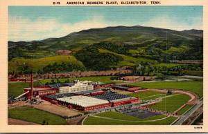 Tennessee Elizabethton Aerial View American Bemberg Plant